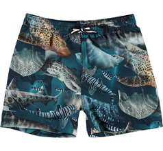 Niko Swimwear